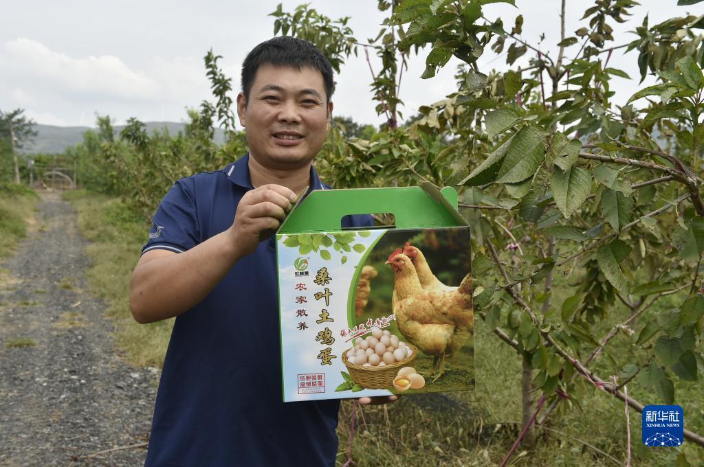 什么是菠菜游戏